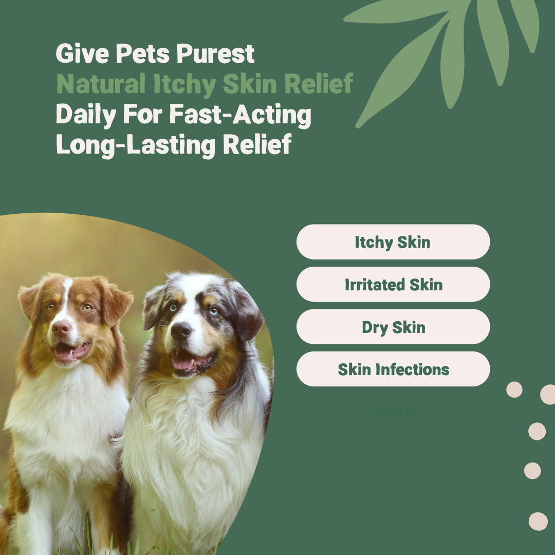 Pets Purest Natural Itchy Skin Relief 250ml
