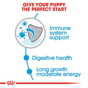 Royal Canin Size Health Maxi Breed Dry Puppy Food