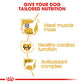 Royal Canin Breed Health Boxer Dry Adult Dog Food