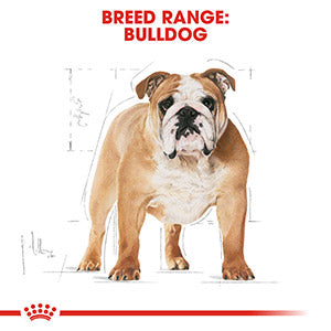 Royal Canin Breed Health Bulldog Dry Adult Dog Food