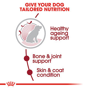 Royal Canin Size Health Medium Breed Ageing Dry 10+ Senior Dog Food