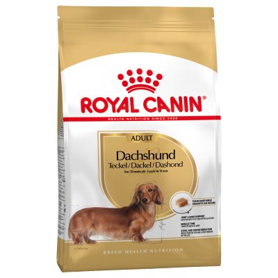 Royal Canin Breed Health Dachshund Dry Adult Dog Food