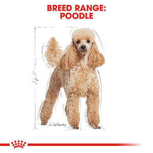 Royal Canin Breed Health Poodle Dry Adult Dog Food