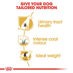 Royal Canin Breed Health Miniature Schnauzer Dry Adult Dog Food