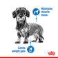 Royal Canin Canine Care Light Weight Wet Adult Dog Food 12x85g