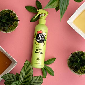 Pet Head Mucky Pup Pear with Chamomile Puppy Deodoriser Spray from 8 weeks 300ml