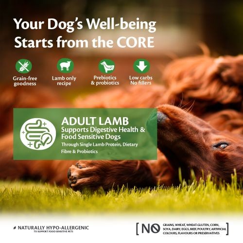 Wellness CORE Adult Lamb Grain Free Dry Dog Food