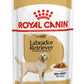 Royal Canin Breed Health Labrador Wet Adult Dog Food 10x140g Pouches