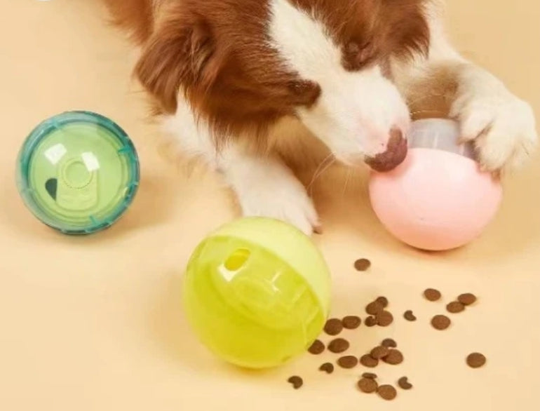 Dog Toy Hard Ball Feeder