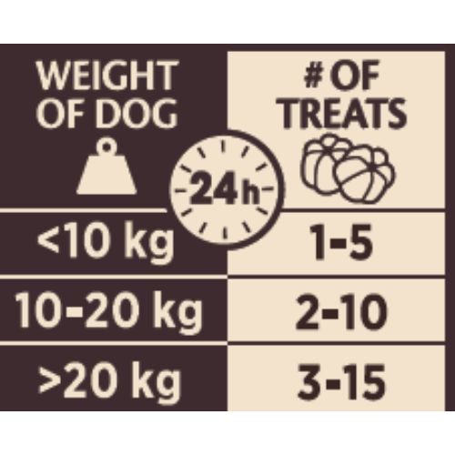Wellness Core Reward+ Dog Treats for Skin & Coat with Salmon 170g