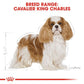 Royal Canin Breed Health Cavalier King Charles Dry Adult Dog Food
