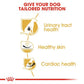 Royal Canin Breed Health Dalmatian Dry Adult Dog Food