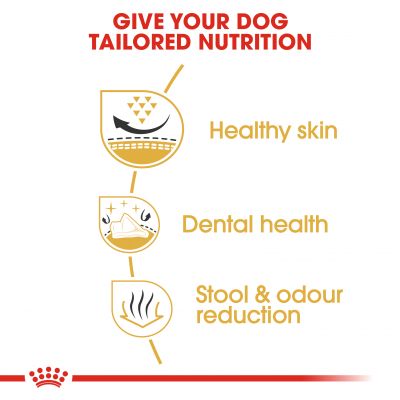 Royal Canin Breed Health Shih Tzu Dry