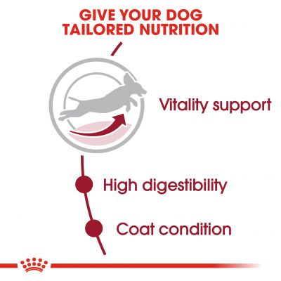 Royal Canin Size Health Medium Breed Dry 7+ Adult Dog Food