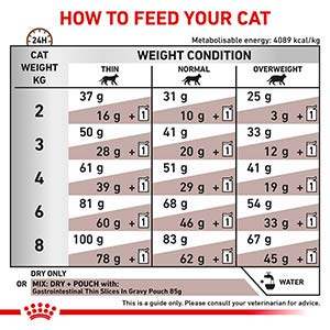 Royal Canin Veterinary Health Nutrition Gastrointestinal Adult Dry Cat Food