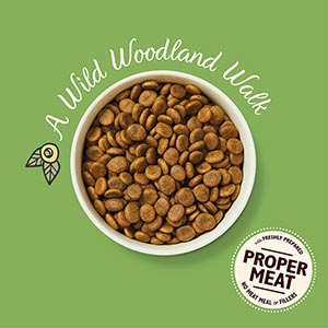 Lily's Kitchen Wild Woodland Walk Duck Salmon and Venison Dry Adult Dog Food