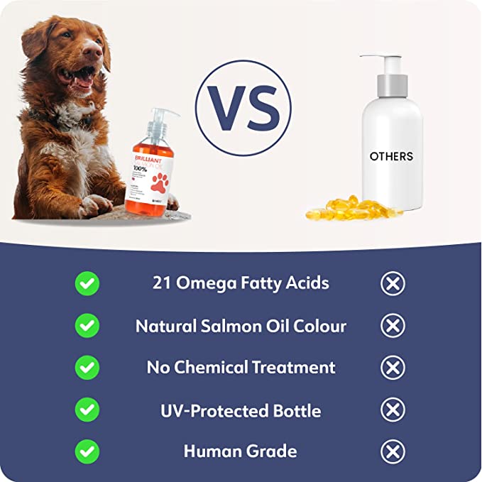Hofseth Biocare Brilliant Salmon Oil for Dogs, Cats, Puppy, Ferret & Pets - Pure Omega 3, 6 & 9 Fish Oil Food Supplement | Treats Itchy Skin, Joint Care, Heart Health & Natural Coat (300ml) - Pets Universe