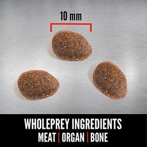 Orijen Complete Dry Adult Cat Food Tundra Goat Wild Boar & Venison Meat