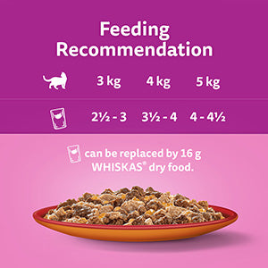 Whiskas Wet 1+ Adult Cat Food Duo Meaty Combos in Jelly 12x85g Pouches