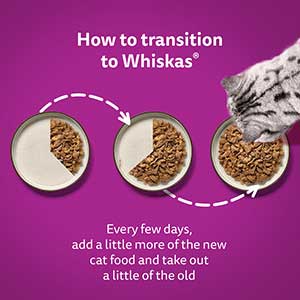 Whiskas Wet 1+ Adult Cat Food Fish Favourites in Jelly 40x85g Pouches