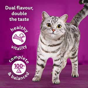 Whiskas Wet 1+ Adult Cat Food Duo Surf and Turf in Jelly 80x85g Pouches