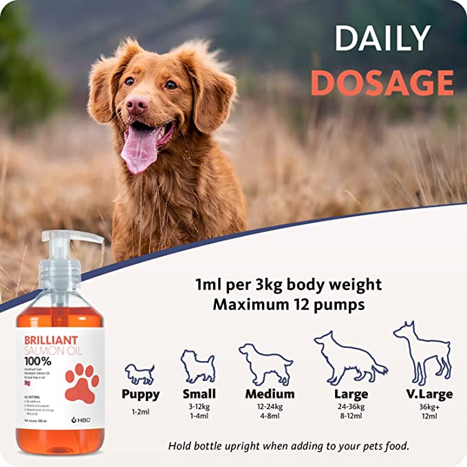 Hofseth Biocare Brilliant Salmon Oil for Dogs, Cats, Puppy, Ferret & Pets - Pure Omega 3, 6 & 9 Fish Oil Food Supplement | Treats Itchy Skin, Joint Care, Heart Health & Natural Coat (300ml) - Pets Universe