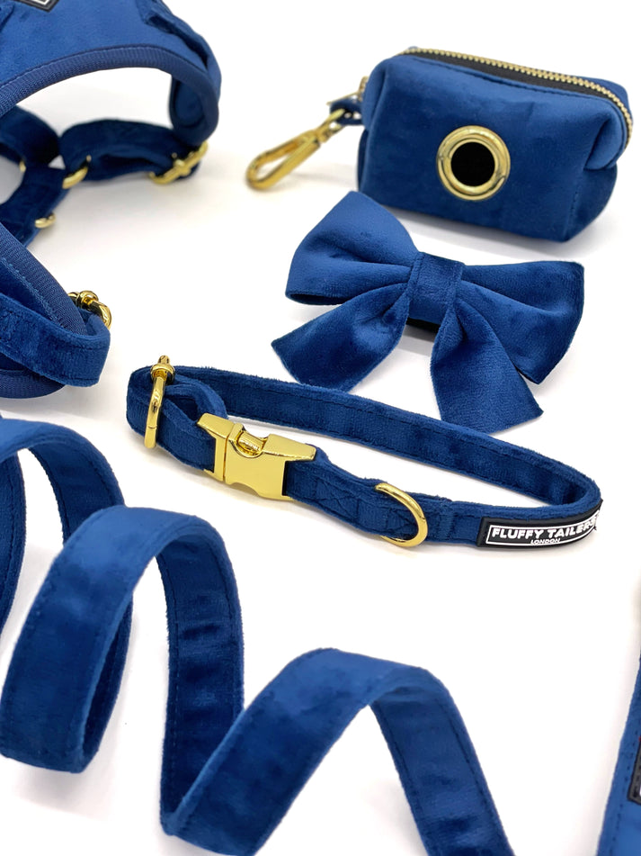 Luxury Royal Blue Velvet Set Small Dog Harness, Collar - Pets Universe
