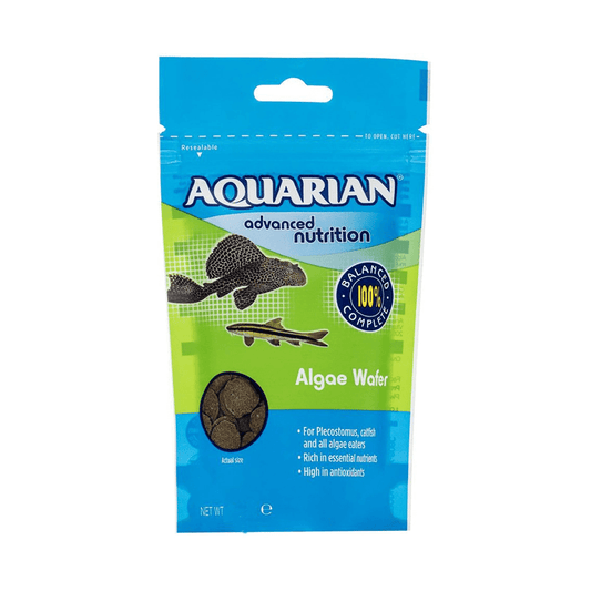 Aquarium Algae Eater Fish Food
