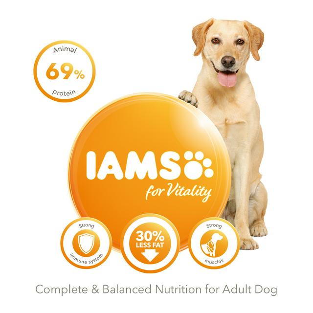 IAMS Vitality ProActive Health Dog Food for Overweight Dogs for All Breeds 2kg - Pets Universe