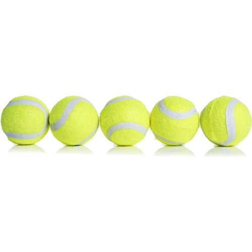 Dog Toy Squeaky Tennis Ball - Pets Universe