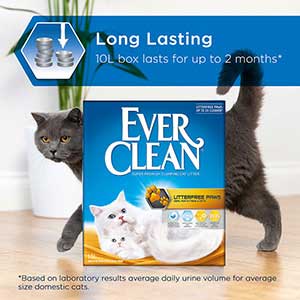 Ever Clean LitterFree Paws Adult Cat Litter Scented 10 Litre - Pets Universe
