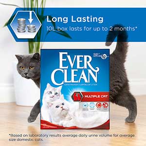 Ever Clean Multiple Cat Litter Scented 10 Litre - Pets Universe